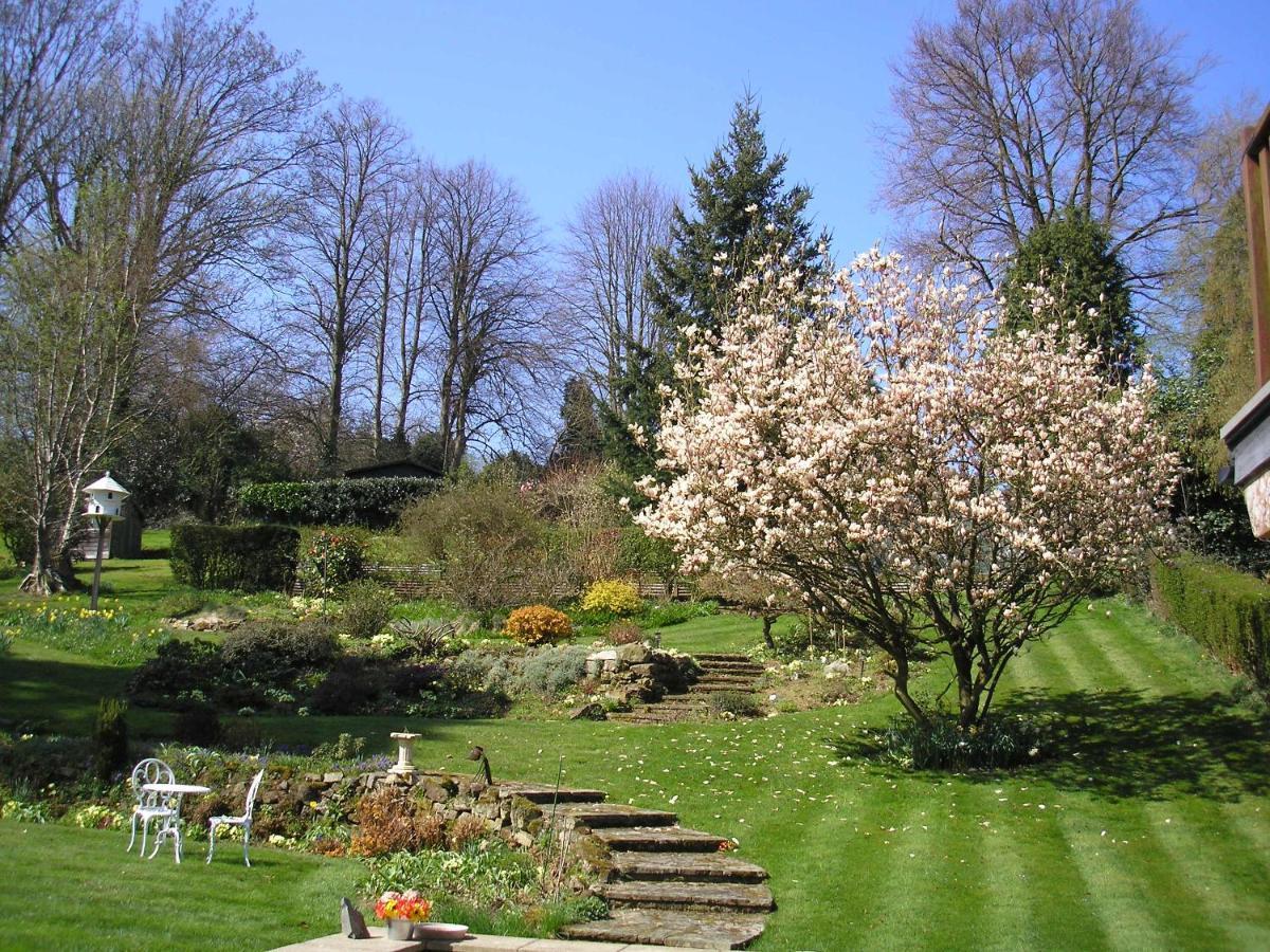 Chart House Bed And Breakfast Доркинг Екстериор снимка